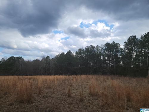 0-0 County Road 15, Maplesville, AL, 36750 | Card Image