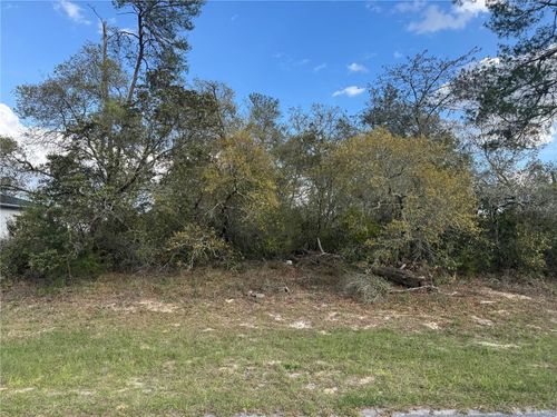 TBD Marion Oaks Golf Rd, OCALA, FL, 34473 | Card Image