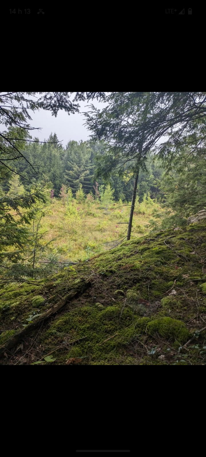 Land in Grenville-sur-la-Rouge