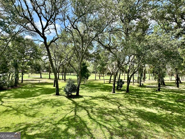 1457 N River Oaks Dr, House other with 4 bedrooms, 3 bathrooms and null parking in Blackshear GA | Image 74