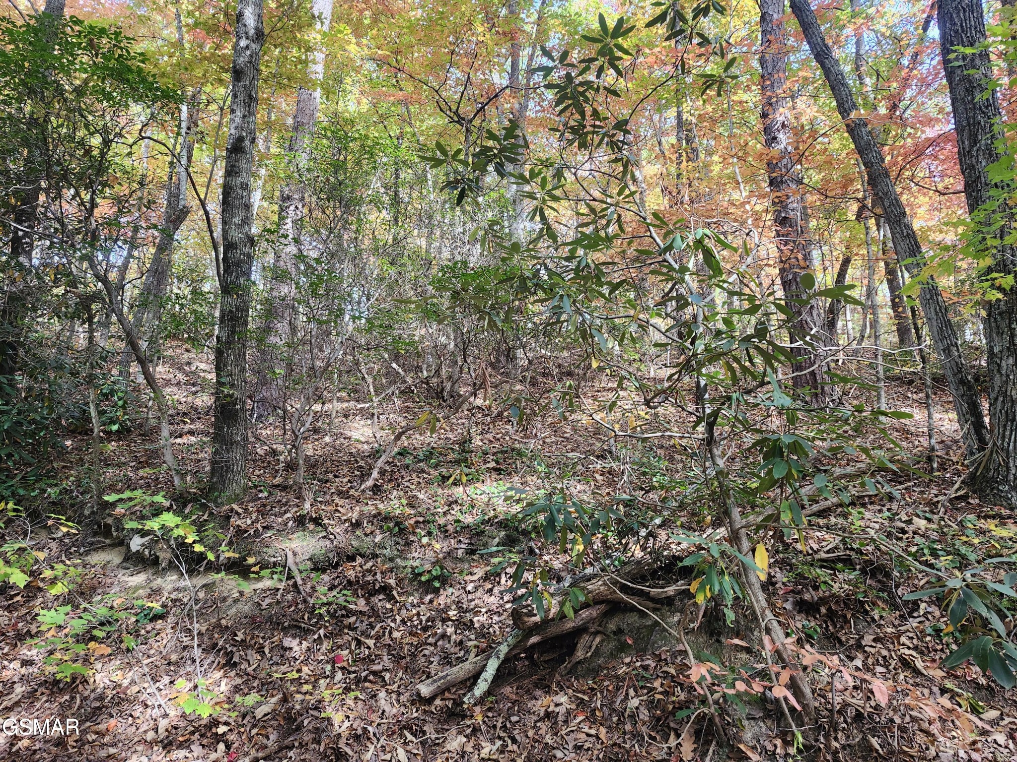 Land in Sevierville 3