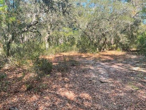 9345 Se 195th Avenue, OCKLAWAHA, FL, 32179 | Card Image