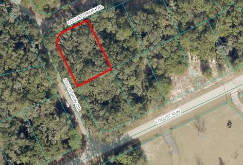 TBD Locust Drive Trl, OCALA, FL, 34472 | Card Image