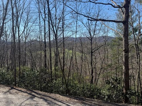 Lot 3 Willow Ridge Cir, Warne, NC, 28909-9124 | Card Image