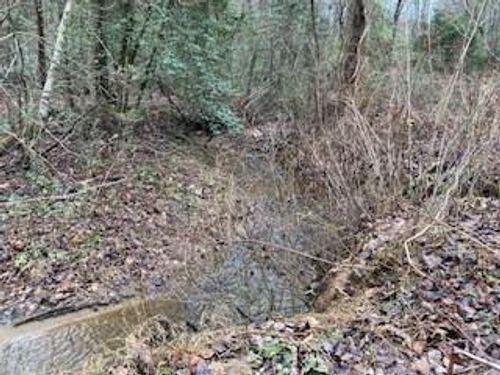 Lot 52 Llama Ln, Ellijay, GA, 30540 | Card Image