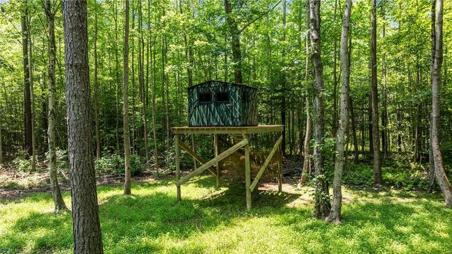 Raised hunting blind | Image 20