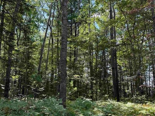 xxx Gravel Pit Rd, Iron River, WI, 54847 | Card Image