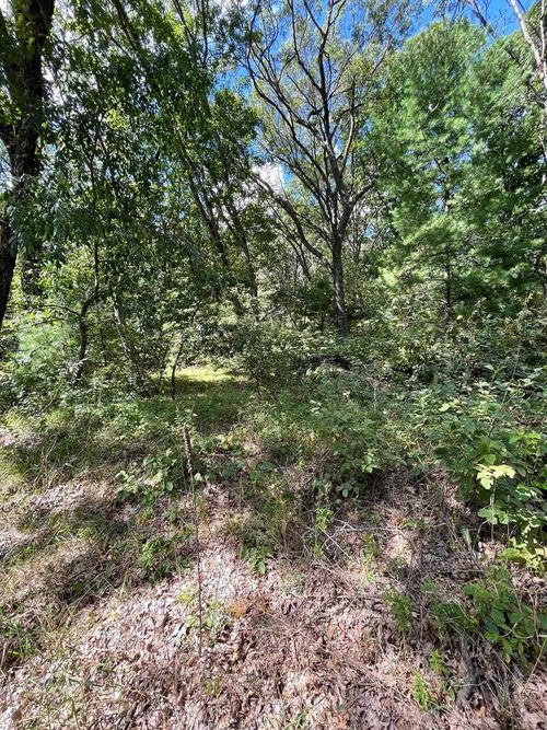 Lot 29 Fawn Ln, COLOMA, WI, 54930 | Card Image