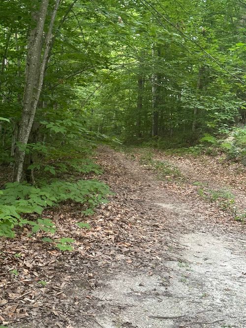 51 Crane View Dr, Salisbury, VT, 05769-9461 | Card Image