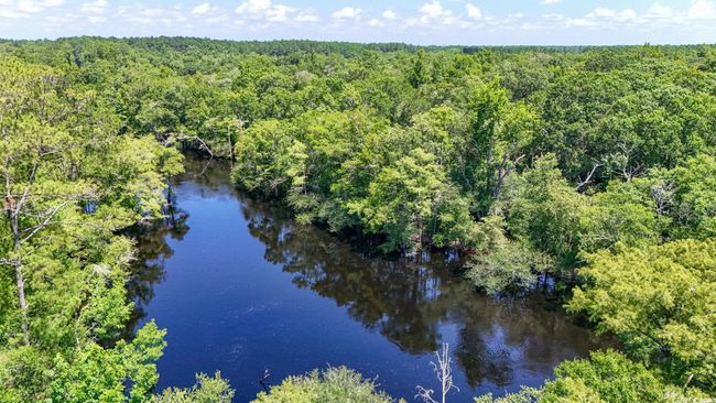 Drone / aerial view of a forest | Image 33