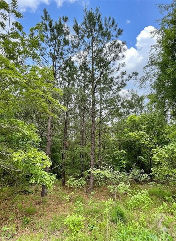 Land in Broken Bow 3