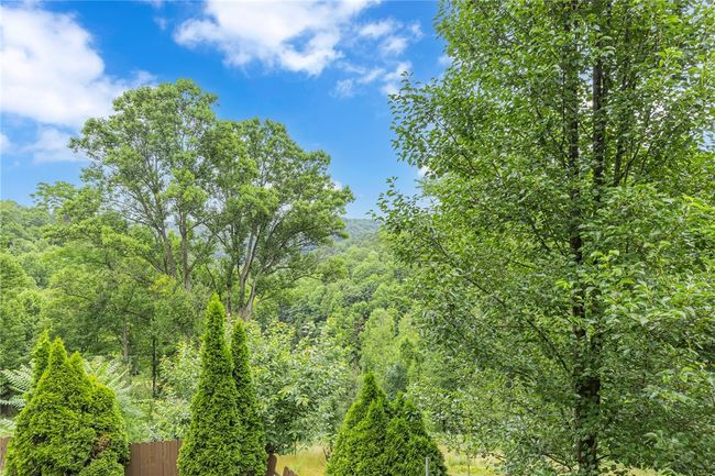 Treed back yard, view from kitchen window | Image 15
