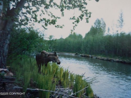 L3-1 Chase Rd, Talkeetna, AK, 99676 | Card Image