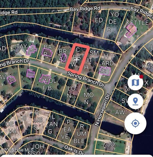 189 Spring Branch Dr, Harrells, NC, 28444-9746 | Card Image