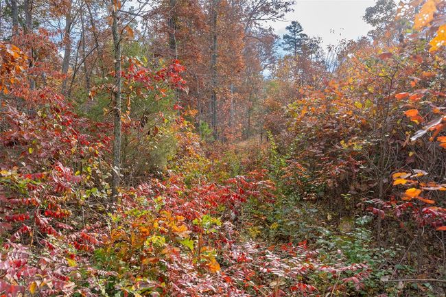 5 - 0 Highway Jj, Home with 0 bedrooms, 0 bathrooms and null parking in Marquand MO | Image 28