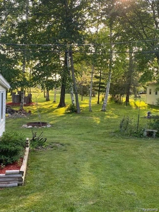 Back yard oasis | Image 5
