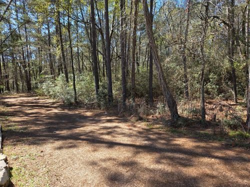 lot 19 Hackberry Dr, Plantersville, TX, 77363 | Card Image