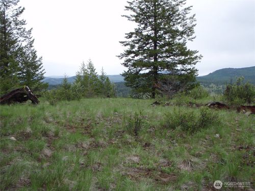 0 Edgewood Ln, Curlew, WA, 99118 | Card Image