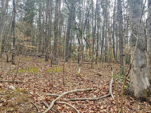 Lot 116 Niver Dr, Union Hall, VA, 24176-2202 | Card Image