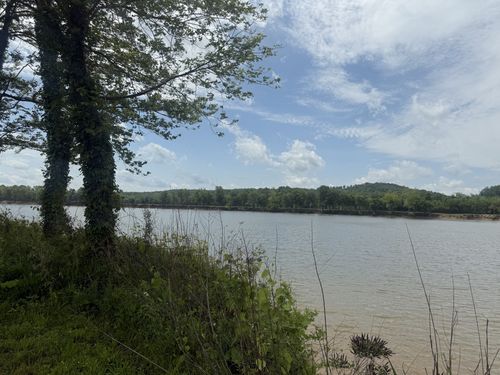 167 Hardin Bottom River Rd, Clifton, TN, 38425 | Card Image