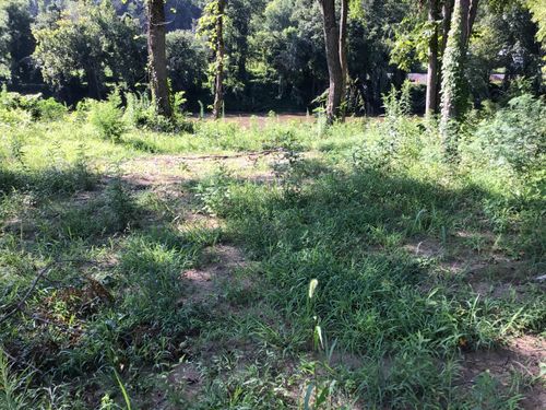 3781 River Rapids Way, Del Rio, TN, 37727-2011 | Card Image