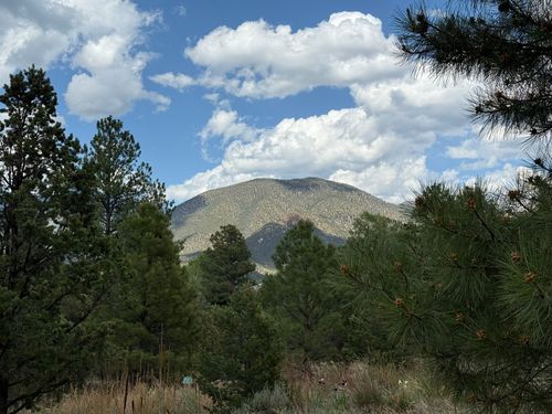 2318 Old Red River Rd, Questa, NM, 87556 | Card Image