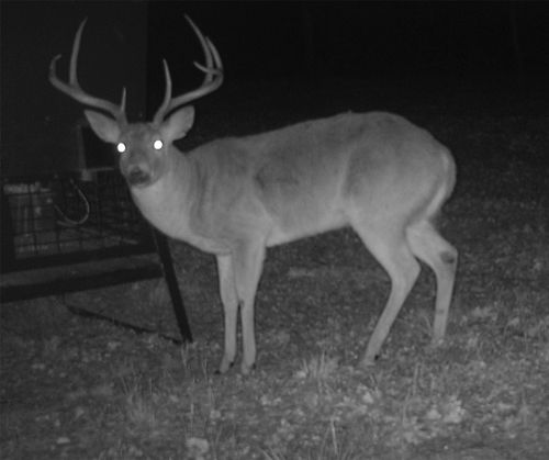 2210 Cardwell Rd, Ringgold, TX, 76261-5119 | Card Image