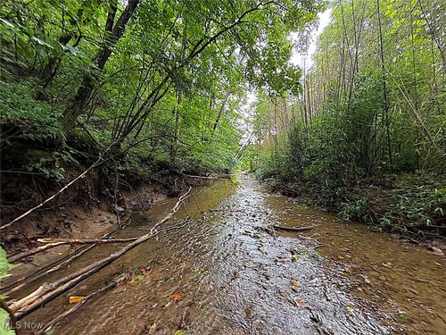 0 Paw Paw Rd, Lower Salem, OH, 45745 | Card Image