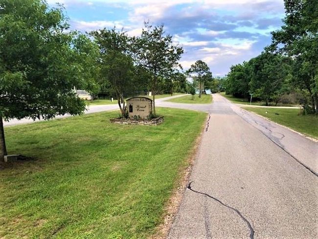 731 N Forest Cove Loop, Home with 0 bedrooms, 0 bathrooms and null parking in Coldspring TX | Image 11
