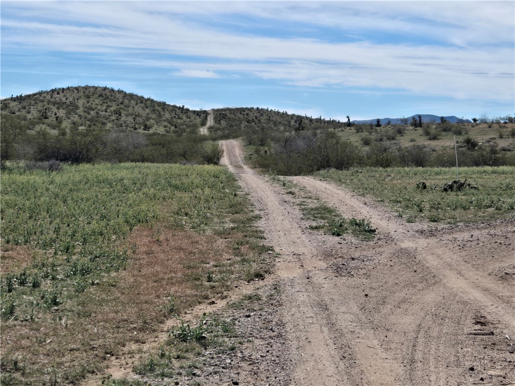Land in Dolan Springs 5