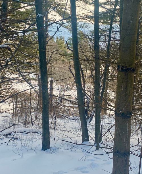 90 Vt Route 140, Tinmouth, VT, 05773 | Card Image