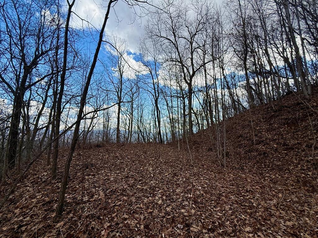 Land in Franklin 5