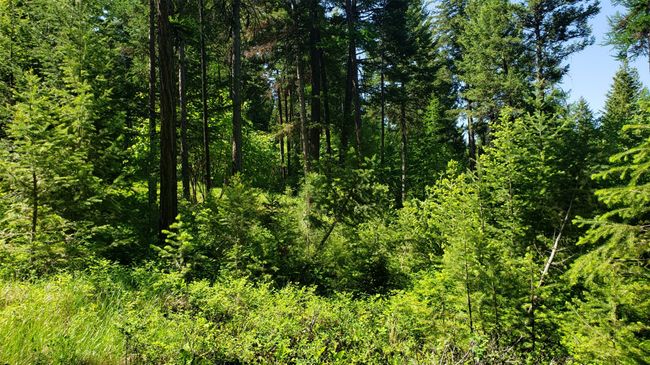 500 Blacktail Heights Rd, Home with 0 bedrooms, 0 bathrooms and null parking in Lakeside MT | Image 9