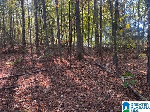 19-19 Dogwood Rdg, Wedowee, AL, 36278 | Card Image