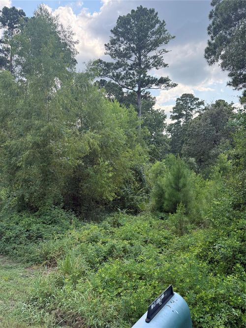 0 Warbonnet, Huntsville, TX, 77320 | Card Image