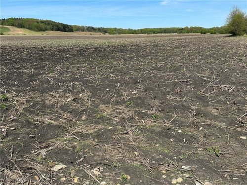 V/L Burton City Road, Orrville, OH, 44667 | Card Image