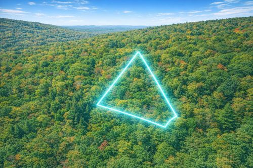 LOT 168 Forest Ridge Trl, FORT VALLEY, VA, 22652 | Card Image