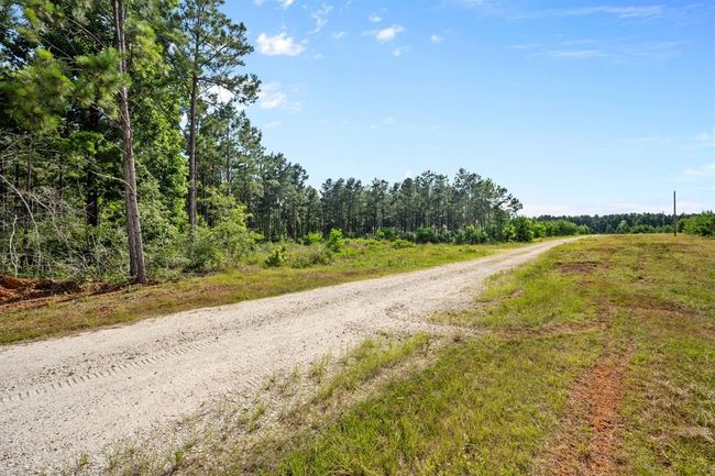 0000 Richardson Rd E, Home with 0 bedrooms, 0 bathrooms and null parking in Livingston TX | Image 12