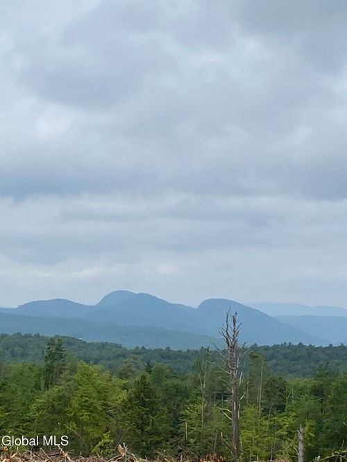 356 Dixon Hill Rd, Diamond Point, NY, 12824-2522 | Card Image