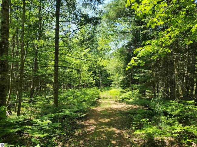2867 Folks Rd Ne, Home with 0 bedrooms, 0 bathrooms and null parking in Kalkaska MI | Image 6
