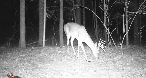 0 County Road 3216, De Kalb, TX, 75559 | Card Image