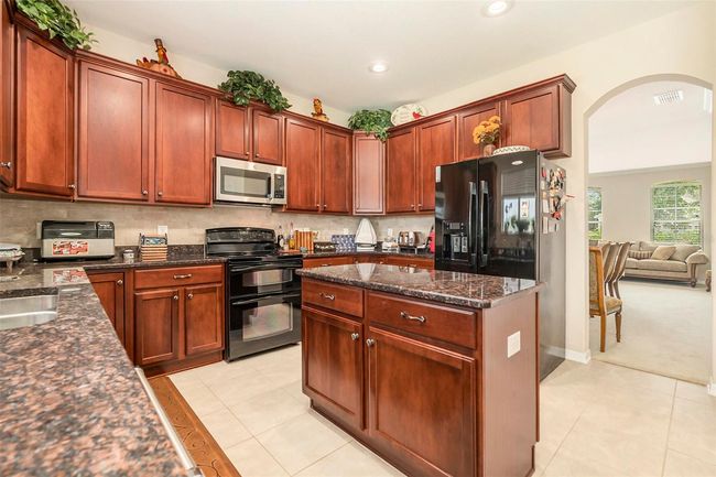 20251 Ravens End Dr, House other with 5 bedrooms, 4 bathrooms and null parking in TAMPA FL | Image 14