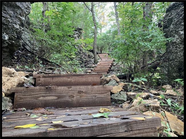 With over 11 miles of walking trails, the is always something beautiful to see in the neighborhood | Image 54