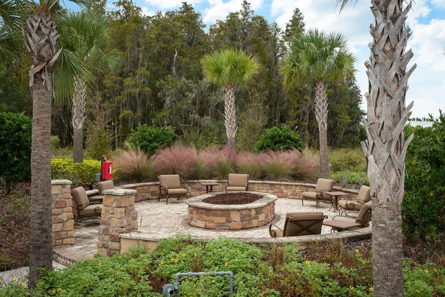 11551 Callisia Dr, House other with 2 bedrooms, 2 bathrooms and null parking in Odessa FL | Image 35