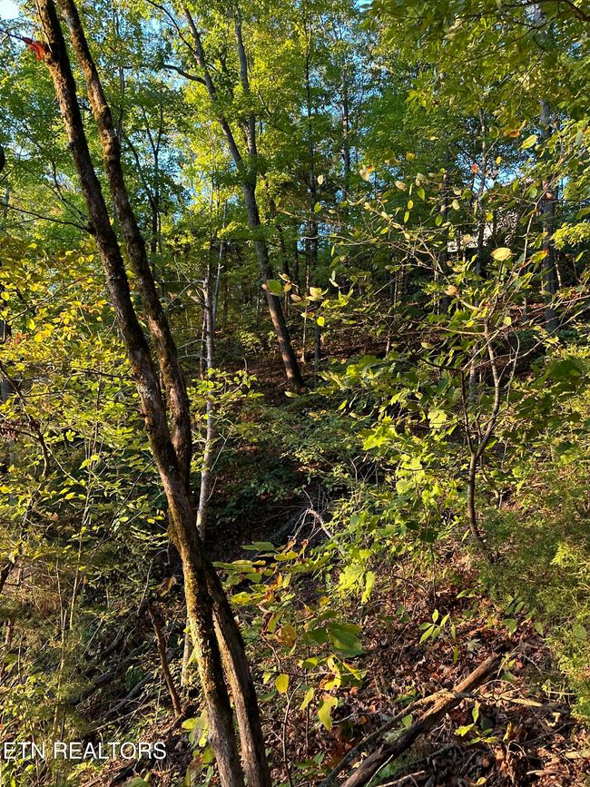 778 Russell Bros Rd, Home with 0 bedrooms, 0 bathrooms and null parking in Sharps Chapel TN | Image 13