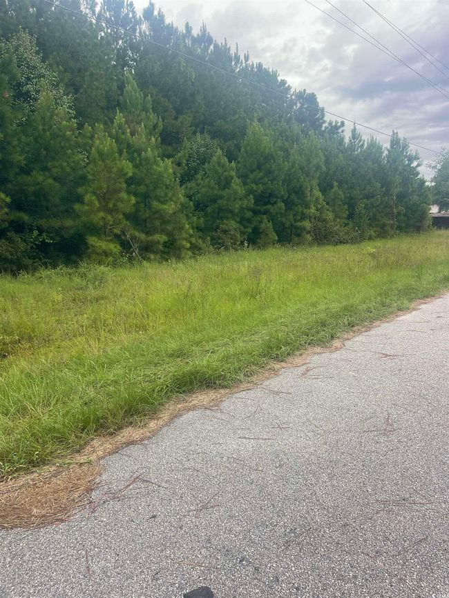 View of asphalt street featuring a wooded view | Image 4