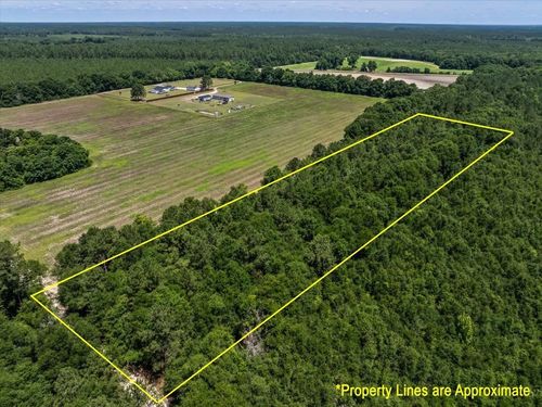 TBD 5.3 Acres Springtown Rd, Bamberg, SC, 29003 | Card Image