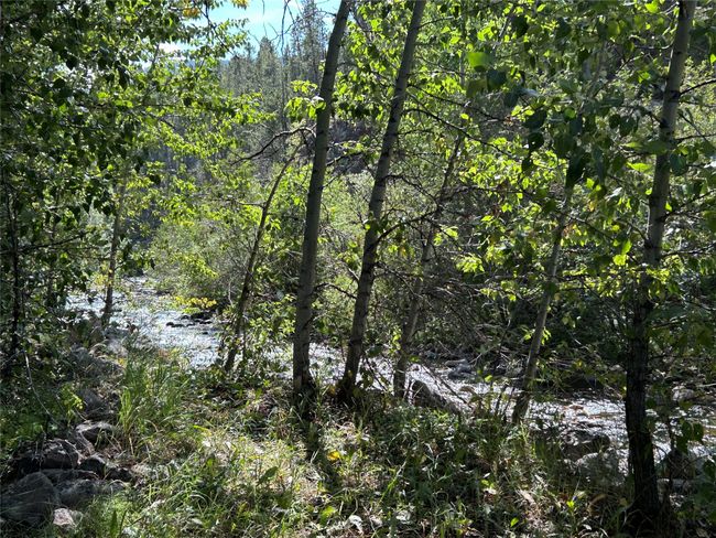 More creek view. Some trees to hang your hammock? | Image 48