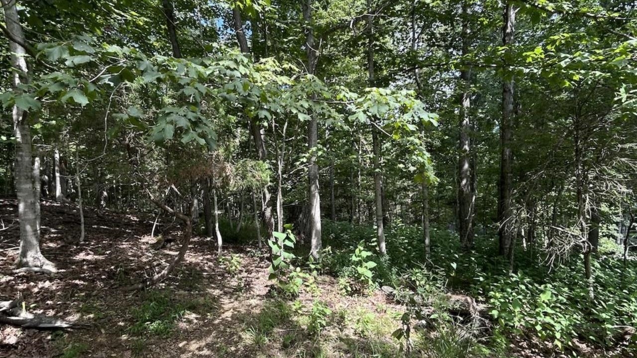 Land in Blacksburg 2