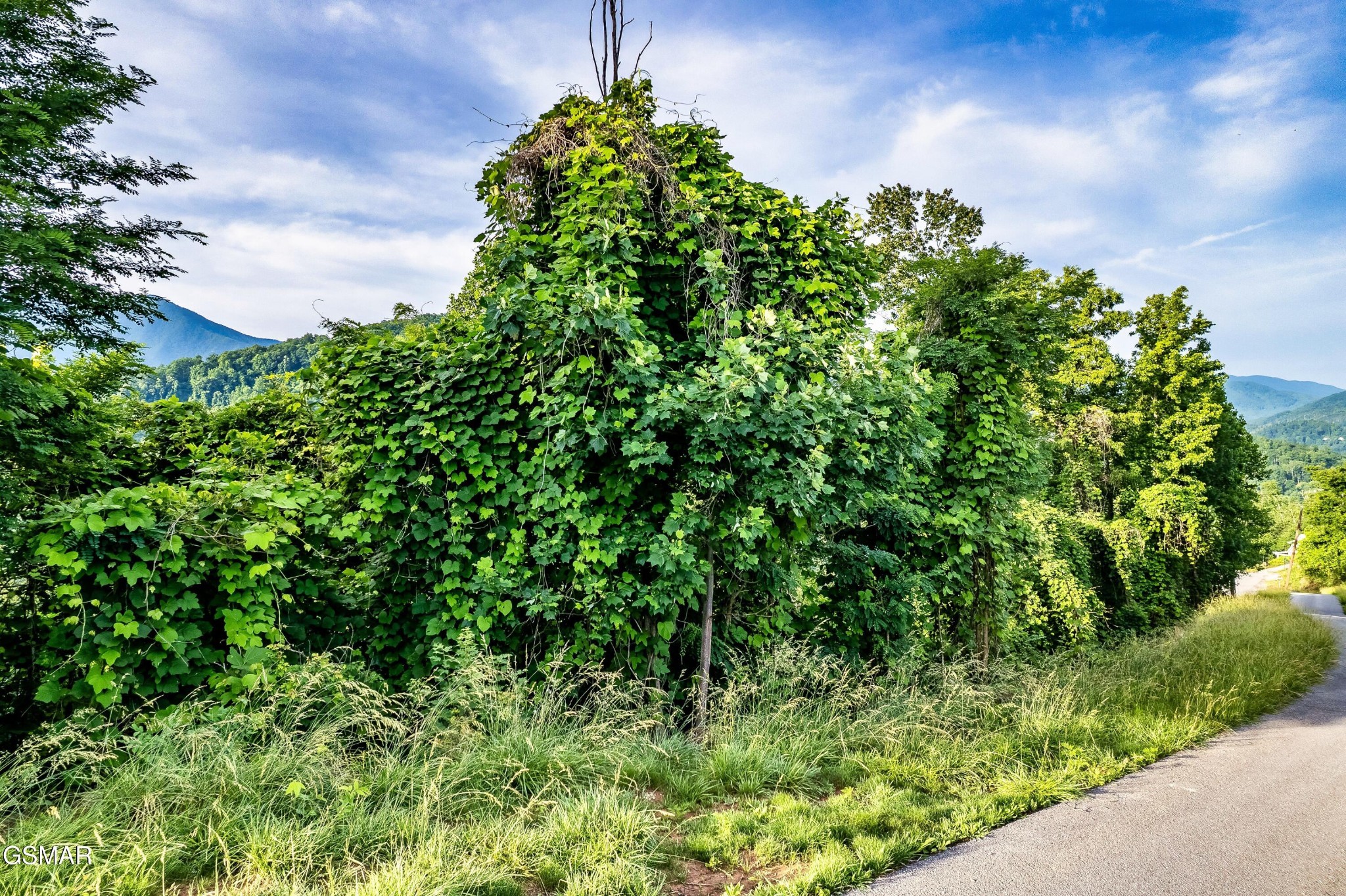 Land in Gatlinburg 4
